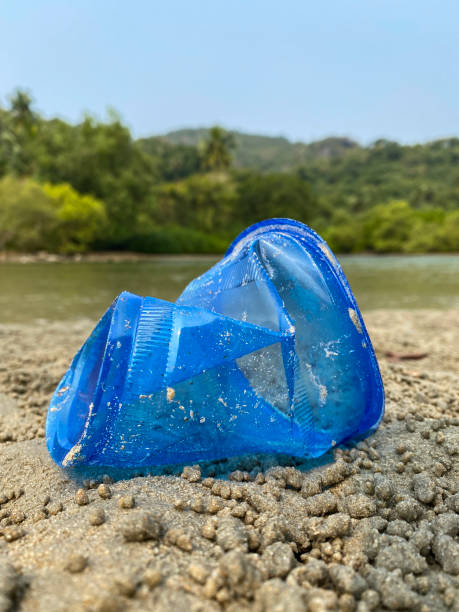 istock Close-up image of crushed, empty, blue plastic disposable coffee cup with washed up on sandy beach at low tide, ocean rubbish and pollution on shore, littering sand, dirty beach, lagoon water background, focus on foreground 1474140761