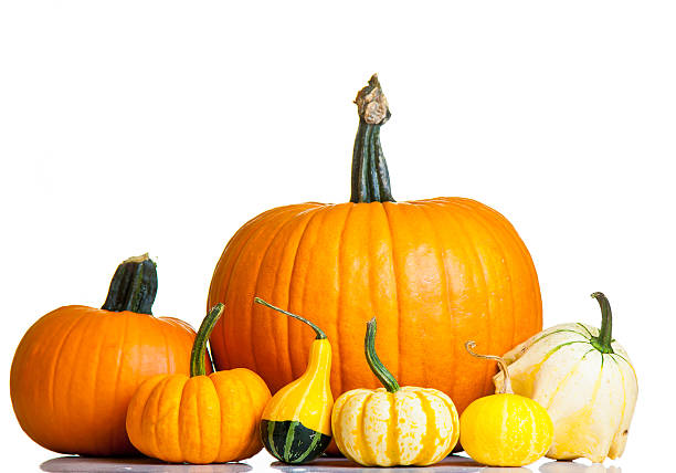 istock Ripe pumpkin fruits isolated on white 147414676