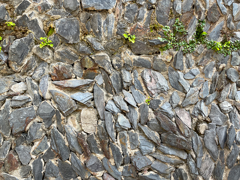 Stock photo showing close-up view of a randomised pattern wall decoration that has been created by using shards of grey slate. These slate pieces have been carefully laid out on some evenly spread cement, taking care to keep them all level,.