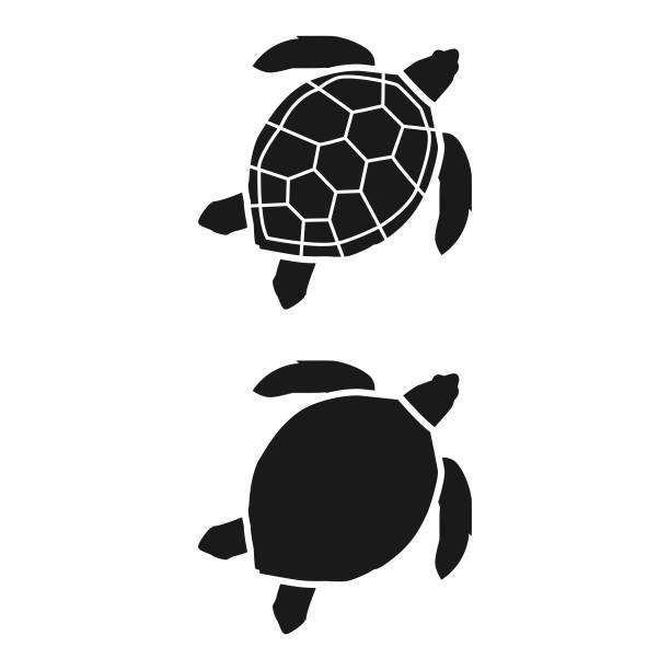 Sea Turtle Icon. Scalable to any size. Vector illustration EPS 10 file. sea turtle clipart stock illustrations
