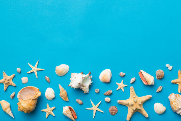 istock Summer time concept Flat lay composition with beautiful starfish and sea shells on colored table, top view with copy space for text 1474150945
