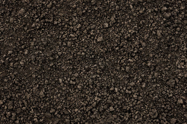 Background black soil texture ground close up. Ukrainian organic soil ground earth texture dark design. Organic farm soil background top view from above. Humus. Agriculture