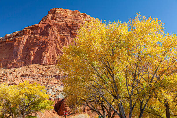 istock Fall colors at Bryce Canyon National Park. 1474164426