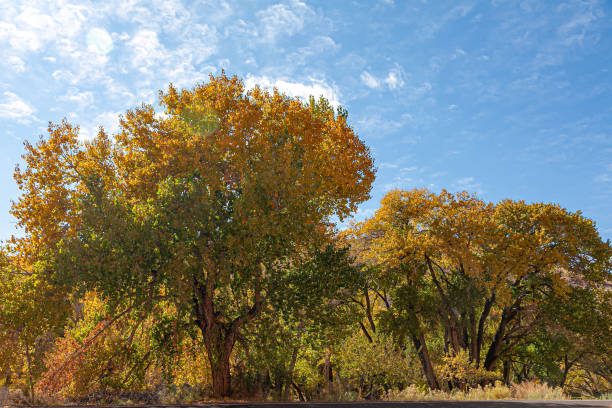 istock Fall colors at Bryce Canyon National Park. 1474164683