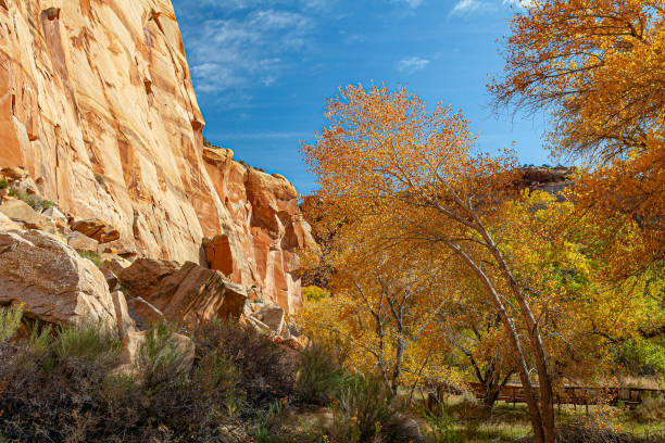 istock Fall colors at Bryce Canyon National Park. 1474165033