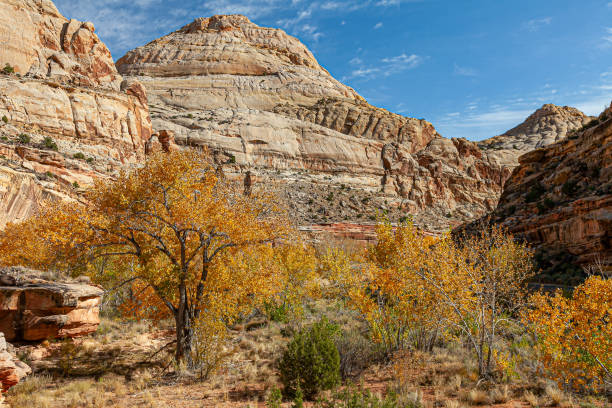 istock Fall colors at Bryce Canyon National Park. 1474165066