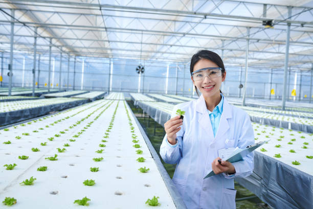 istock One Female Researcher Working at Vegetable Seedling Greenhouse 1474166151