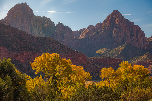 Fall color foliage throughout Zion National Park in Utah.