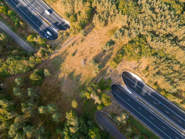 ecoducto de vida silvestre por dron - highway traffic aerial view netherlands fotografías e imágenes de stock