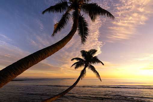 Beautiful Sunset on a Hawaiin beach with palm trees