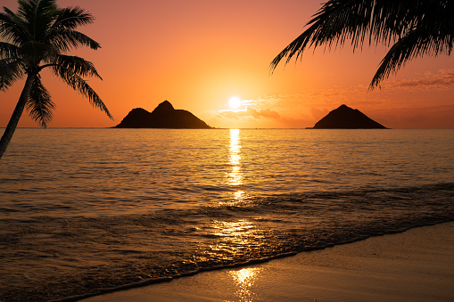 Beautiful Sunset on a Hawaiin beach with palm trees