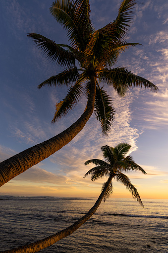 Beautiful Sunset on a Hawaiin beach with palm trees