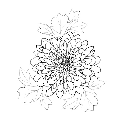 This is a vector flower drawing. Adobe illustrator 10 versions, easy to work, is best for coloring page print on demand on others' works,