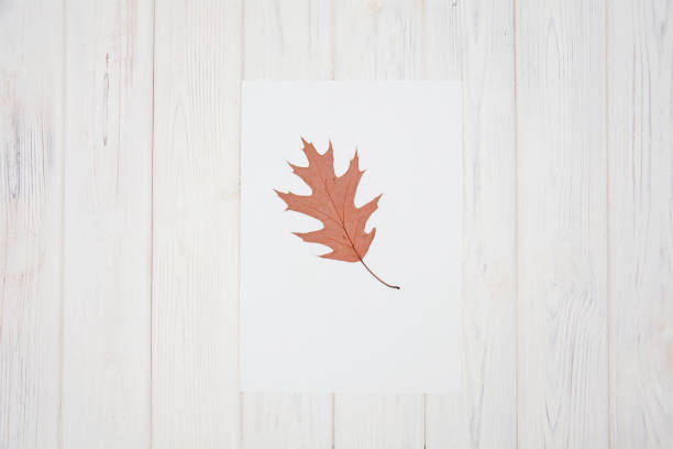 istock A beautiful pencil lies on a magical background 1474175252