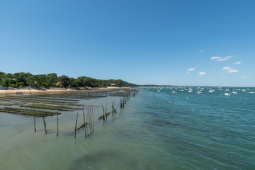 Oyster beds, beach and view over the bay