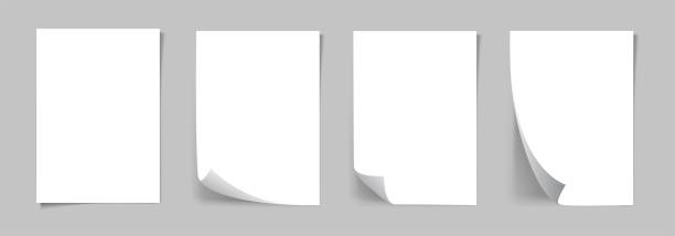 ilustrações de stock, clip art, desenhos animados e ícones de vector white sheet paper with curled corners . realistic blank a4 format paper template with shadow. flyer, cover, brochure mockup design - format a4