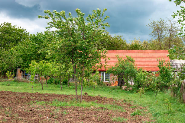 istock A rustic cottage with a vegetable garden and trees on a cloudy summer day 1474179915