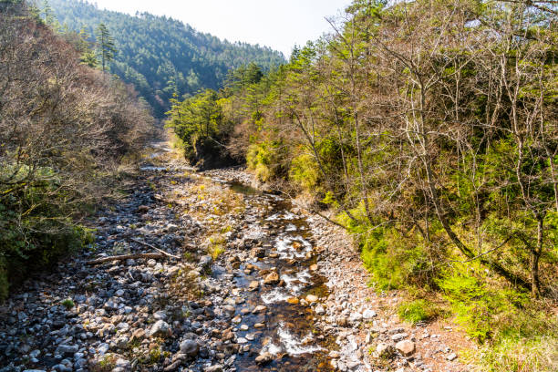 granja wuling en taichung, taiwán. - 11160 fotografías e imágenes de stock