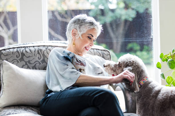istock Active female retiree plays with her standard poodle at home 1474183276
