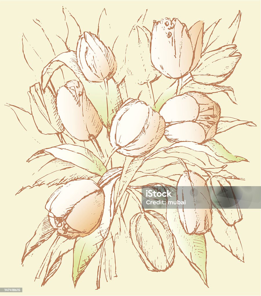 Strauß Tulpen - Lizenzfrei Bildhintergrund Vektorgrafik