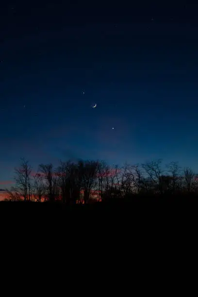 Photo of Planets in conjunction with young Moon above tree countryside silhouettes.