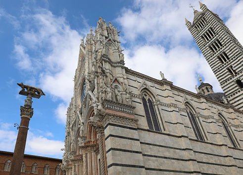 cathedral of SIENA in central Italy with the bell tower and the statue of the she-wolf with Romulus and Remus