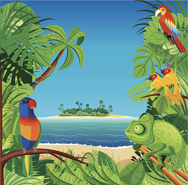 ilustrações, clipart, desenhos animados e ícones de praia tropical - parrot multi colored bird perching