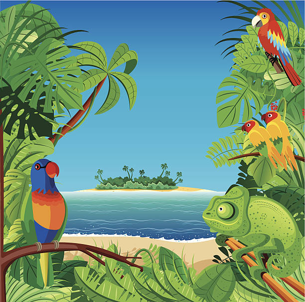 тропический пляж - parrot multi colored bird perching stock illustrations