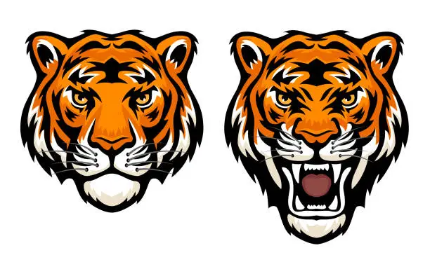 Vector illustration of Tiger Face. Tiger fury. Roaring tiger head. Mascot Creative Design.