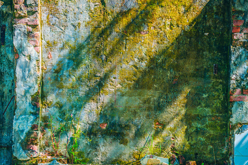 An old cement brick wall covered in green moss, the sunlight shining on its surface.