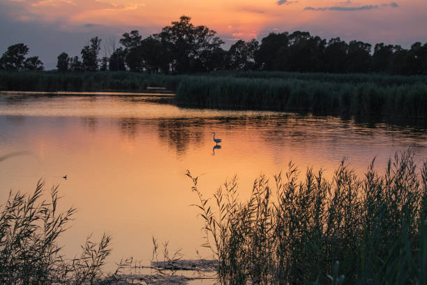 golden reflections of sunset in El Hondo Natural Park