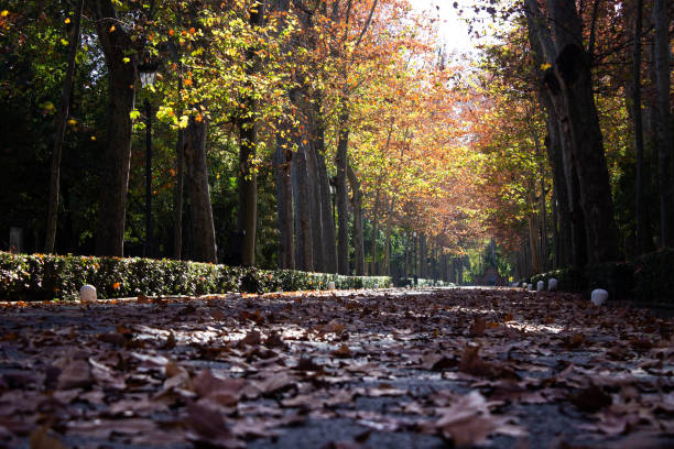 istock Autumn in Seville, Spain 1474190027
