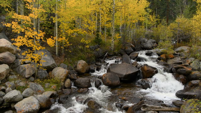 Autumn Mountain Creek - An Autumn view of a small creek cascade running down at side of Guanella Pass Scenic Byway, near Grant, Colorado, USA.