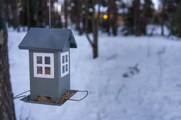 Photo of House shaped bird feeder, outdoors in winter.