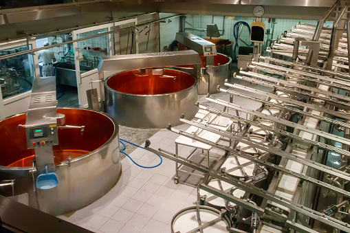 Interior of the cheese dairy factory. Equipment at cheese dairy plant