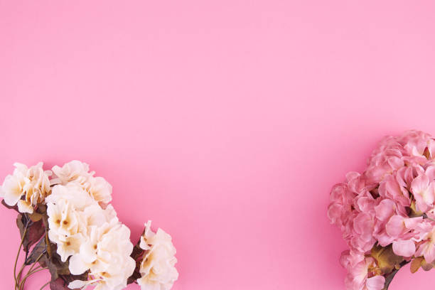 istock Spring Flowers Over Pink Background 1474194120