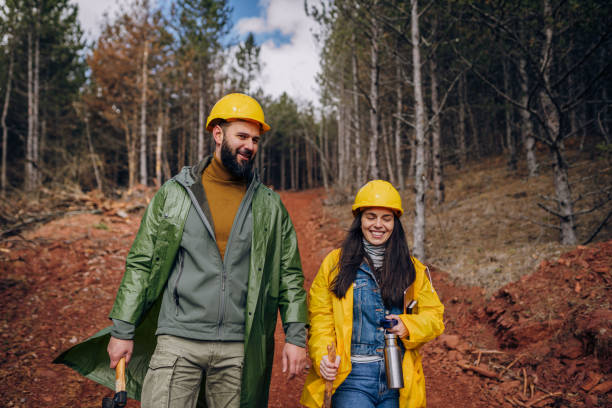 istock Let's go through our business plan 1474195235