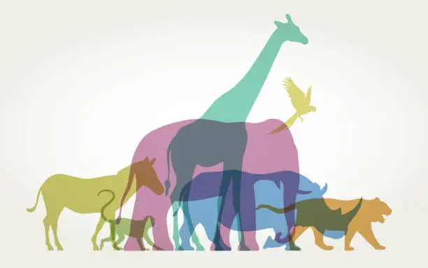 Vector illustration of Wild Animals