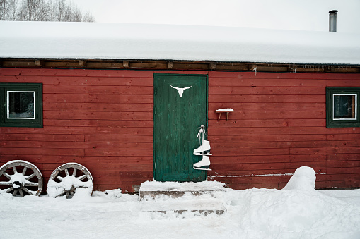 Red barn,green door, hanging white skates. Deer elk bull antlers drawing.Snowy cold winter in countryside.Skating,having fun,laughing.Stylish clothes,coat,hat.Romantic love story,village date,weekend.