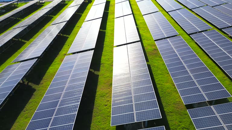 Aerial view of solar power farm with the panels at sunset in the green field. The sun reflected on the blue surface. Clean electrical energy from renewable resources.