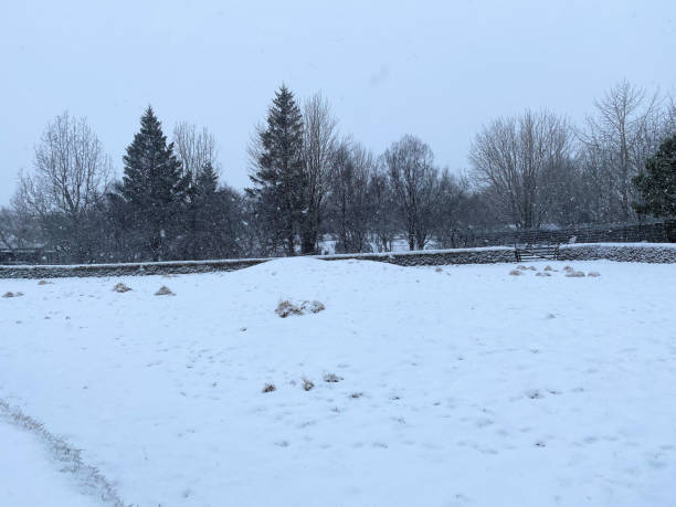 istock Icelandic Scenery in the snow 1474203740