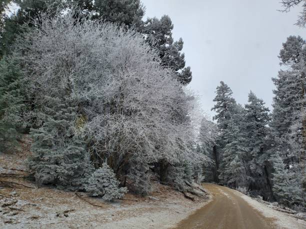 istock Snowy mountain road 1474204095