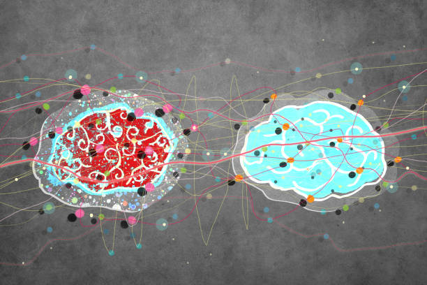 Free Stock Photo of Brain Connections - Creativity and Thought Concept ...
