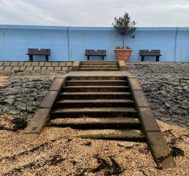 bancs et plante en pot - île de canvey photos et images de collection