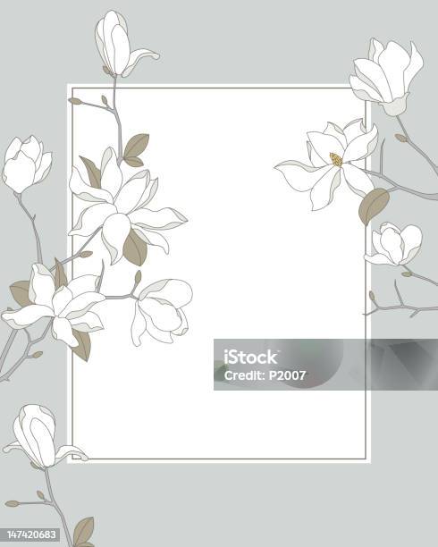 Magnolia Sfondo Cornice - Immagini vettoriali stock e altre immagini di Magnolia - Magnolia, Bianco, Fiore