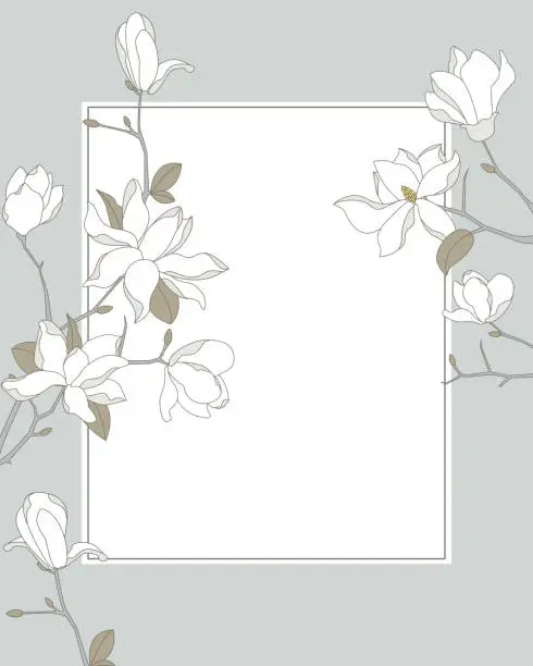 Vector illustration of Magnolia Frame Background