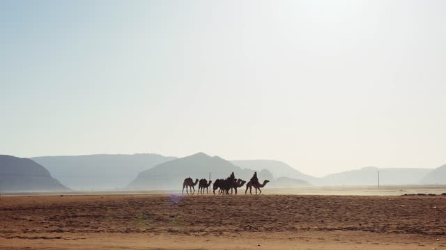 Camel Caravan in Wadi Rum, Jordan