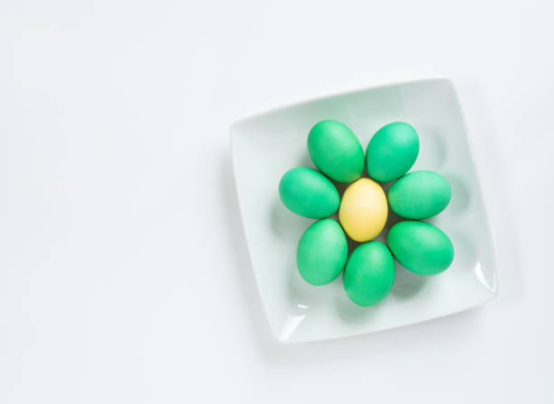 Easter decoration with eggs and flowers on white  background.