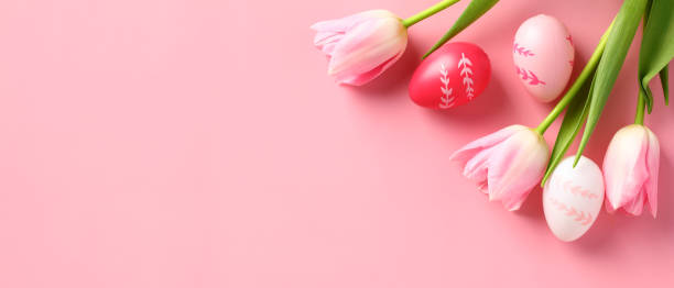 istock Happy Easter banner template. Colorful Easter eggs and tulips on pink background. 1474213697
