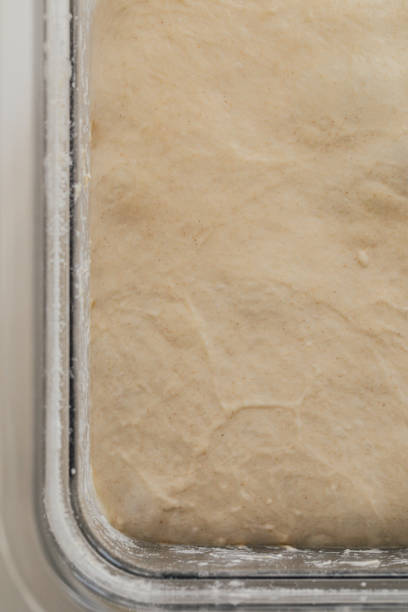 proofing bread dough in square plastic container. top down view.